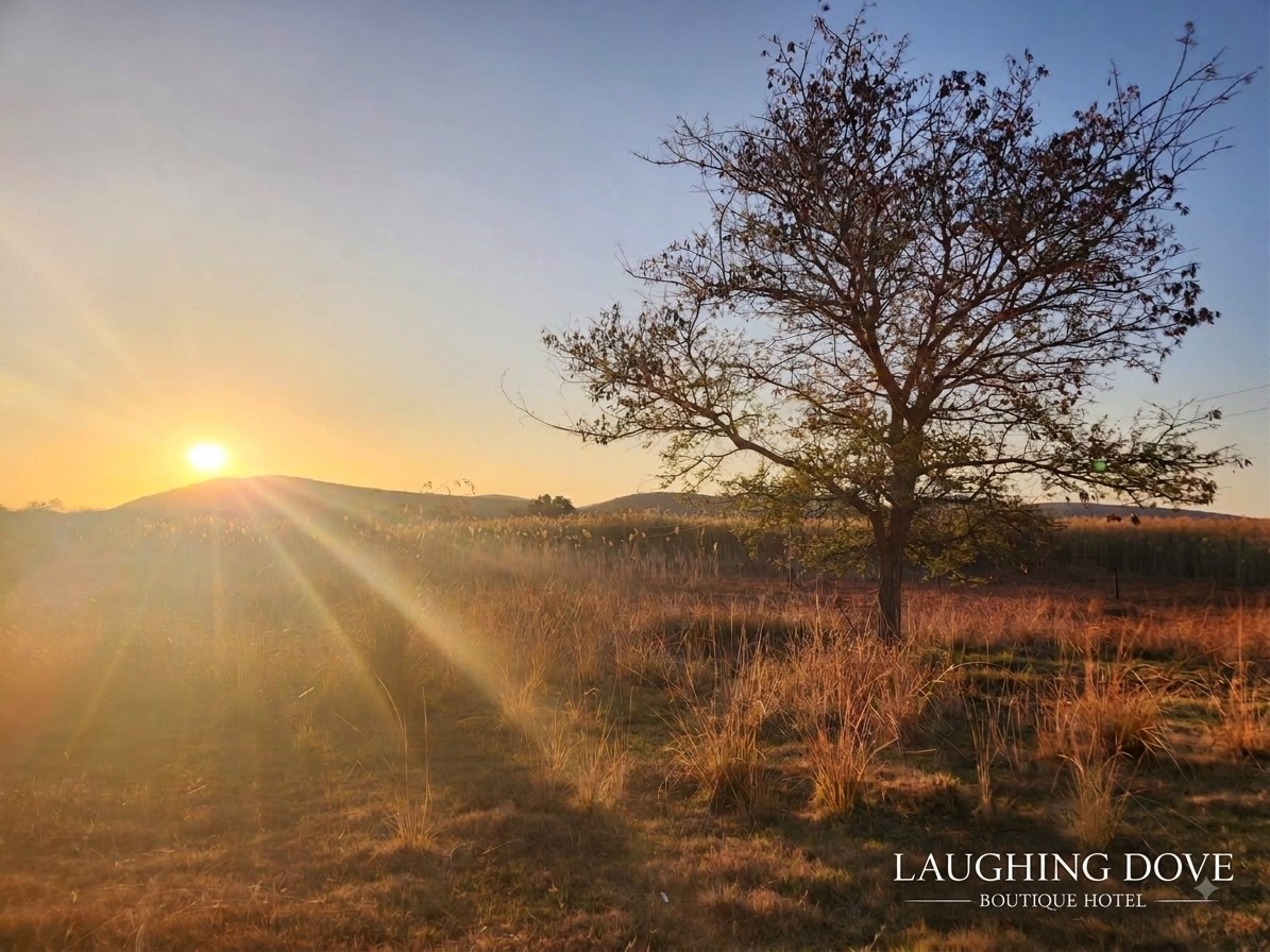 Sunset on the road through the Waterberg