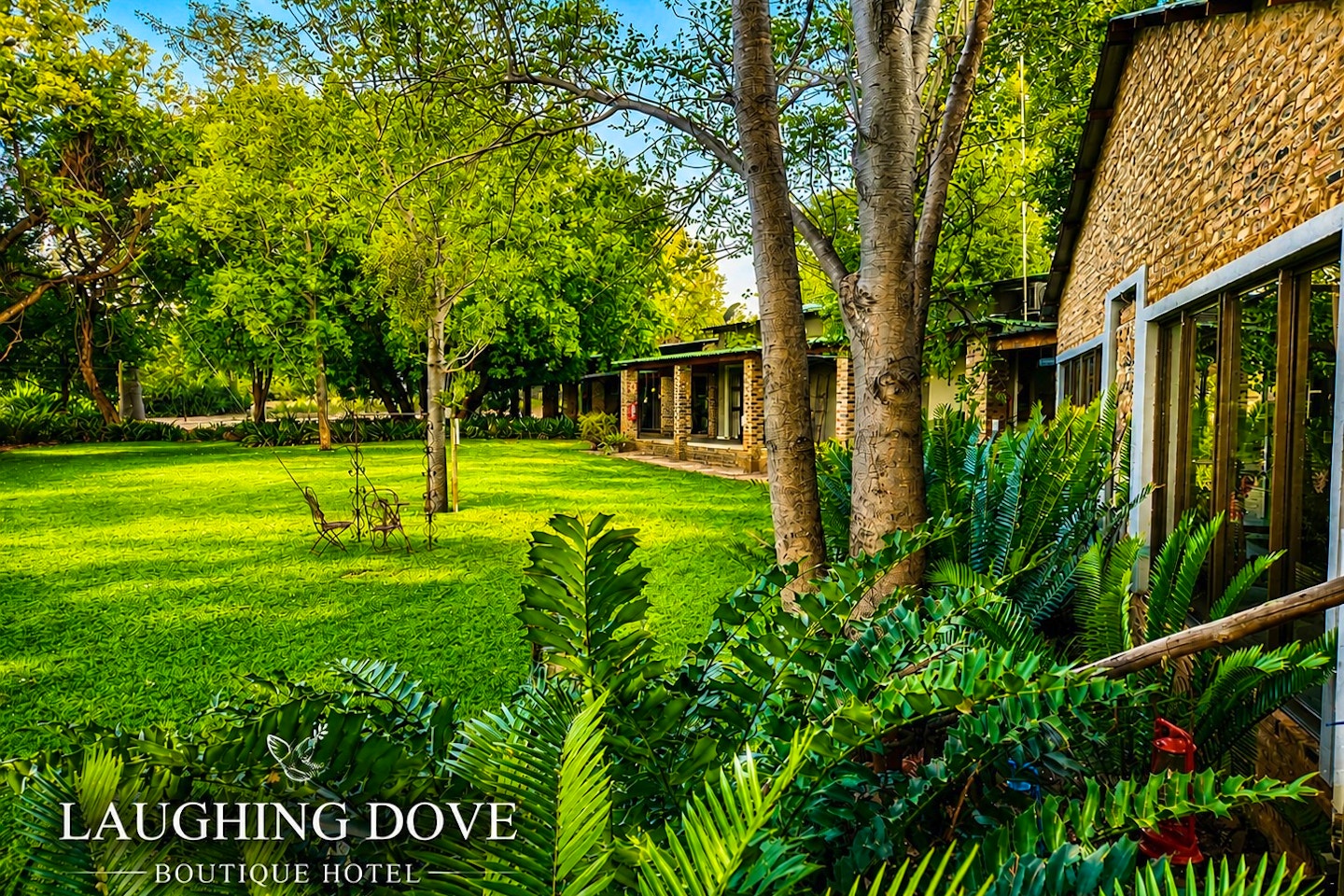 Laughing Dove Boutique Hotel and its established Waterberg garden